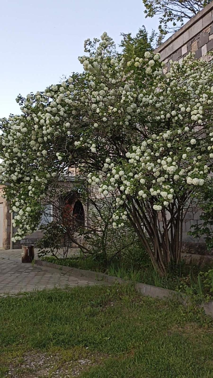 Luse Guest House Ijevan Extérieur photo