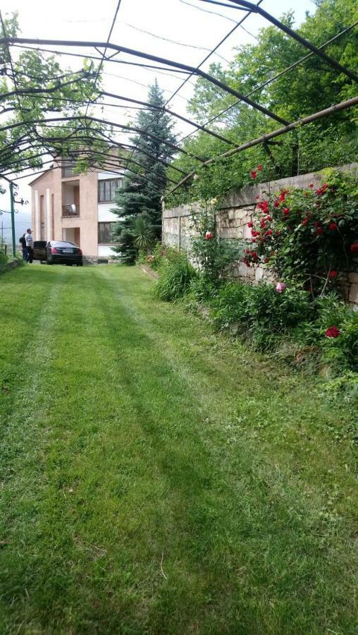 Luse Guest House Ijevan Extérieur photo